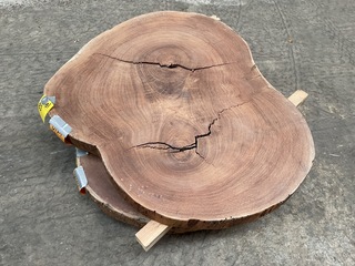 Guyana Teak houten schijf 1100mm